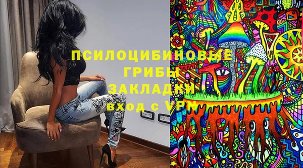 бошки Алзамай
